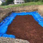 Japanese Knotweed Cell Burial