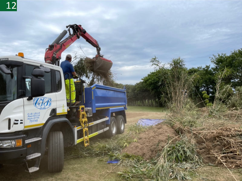 IMAGE 11 – Bamboo removal