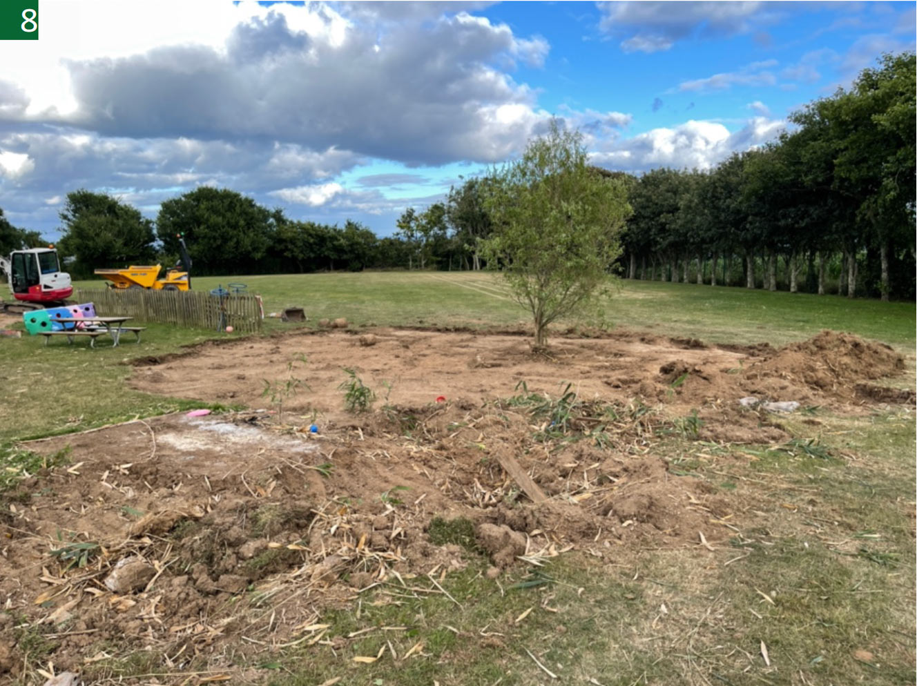 IMAGE 8 – Bamboo removal