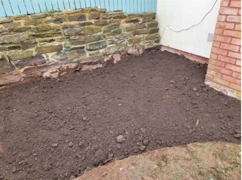 Bamboo land cleared in Sidmouth