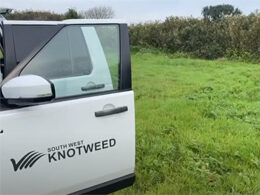 Japanese Knotweed removal in Cornwall