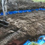 Japanese Knotweed Cell Burial