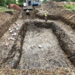 Japanese Knotweed Cell Burial