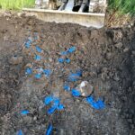 Japanese Knotweed Cell Burial