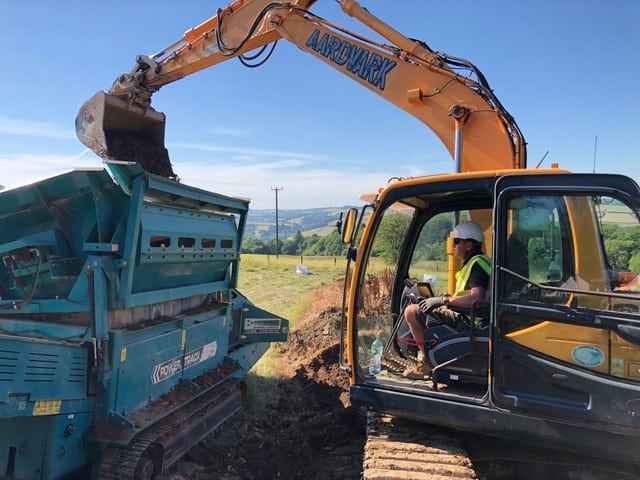 Screening Japanese Knotweed in Devon