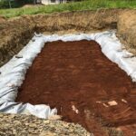 Japanese Knotweed Cell Burial