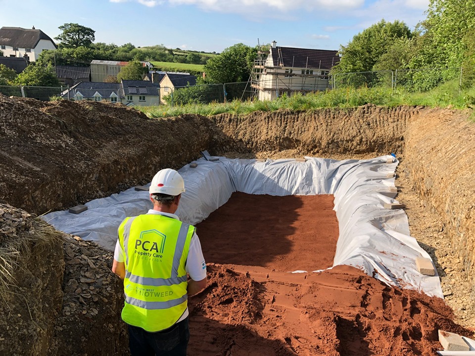 Japanese Knotweed Cell Burial